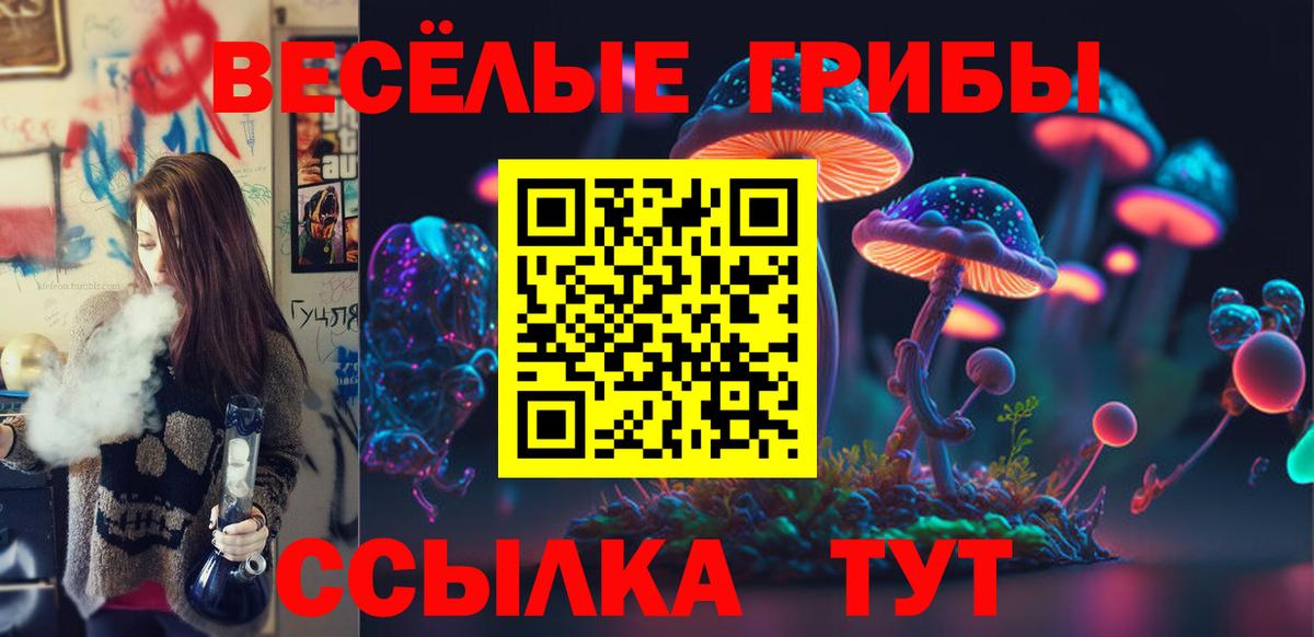 Псилоцибиновые грибы MAGIC MUSHROOMS  Псилоцибиновые грибы GOLDEN TEACHER  Усть-Джегута  Вход с VPN 